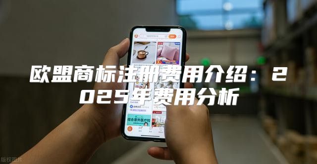 欧盟商标注册费用介绍：2025年费用分析