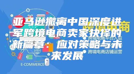 亚马逊撤离中国深度进军跨境电商卖家抉择的新篇章：应对策略与未来发展