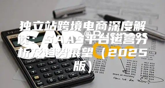 独立站跨境电商深度解读：SAAS平台运营分析及趋势展望2025版