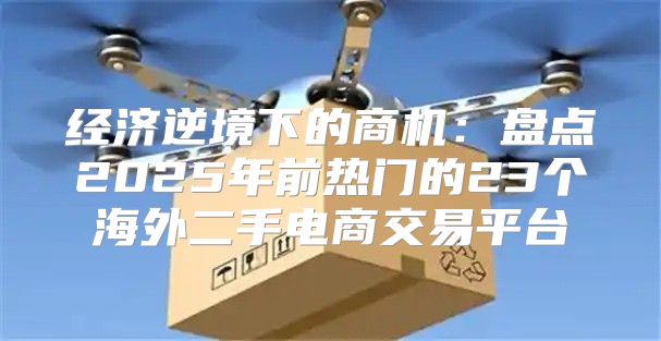 经济逆境下的商机：盘点2025年前热门的23个海外二手电商交易平台