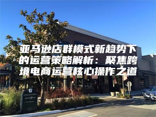 亚马逊店群模式新趋势下的运营策略解析：聚焦跨境电商运营核心操作之道