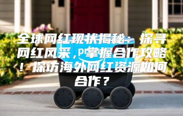 全球网红现状揭秘：探寻网红风采，掌握合作攻略！探访海外网红资源如何合作？