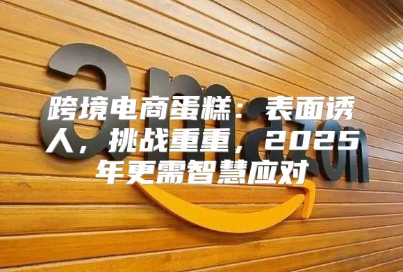 跨境电商蛋糕：表面诱人，挑战重重，2025年更需智慧应对