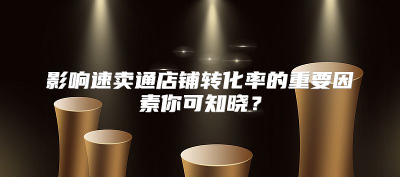 影响速卖通店铺转化率的重要因素你可知晓？