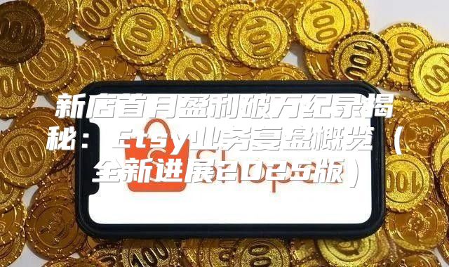 新店首月盈利破万纪录揭秘：Etsy业务复盘概览全新进展2025版