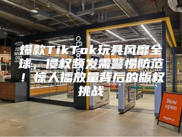 爆款TikTok玩具风靡全球，侵权频发需警惕防范！惊人播放量背后的版权挑战