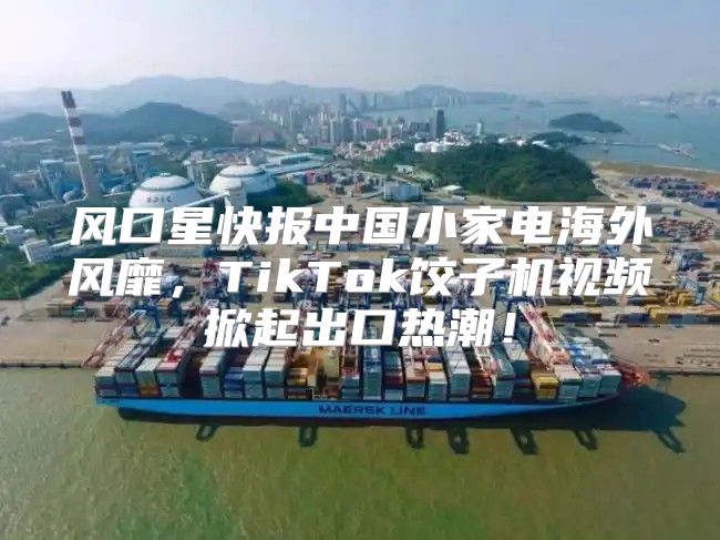 风口星快报中国小家电海外风靡，TikTok饺子机视频掀起出口热潮！