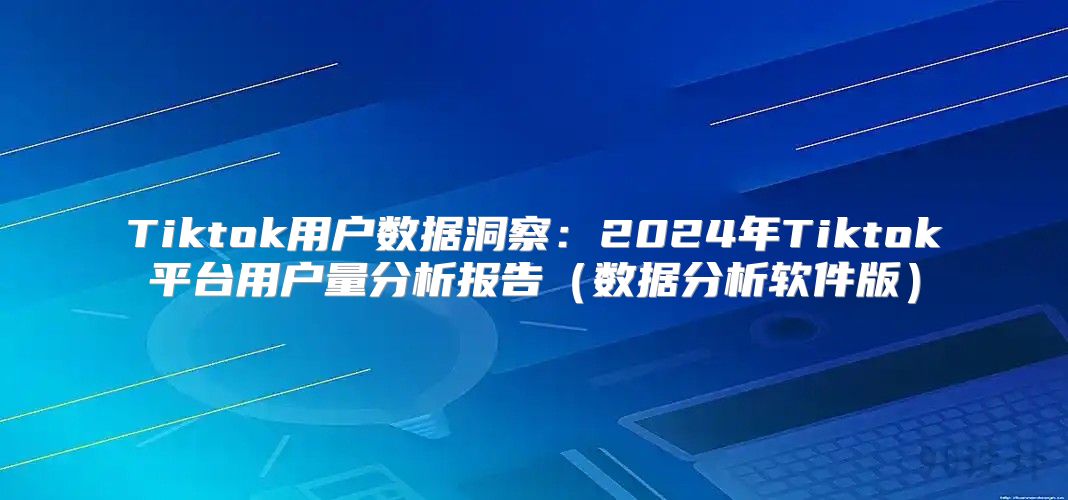 Tiktok用户数据洞察：2025年Tiktok平台用户量分析报告数据分析软件版