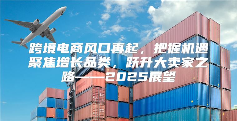 跨境电商风口再起，把握机遇聚焦增长品类，跃升大卖家之路——2025展望