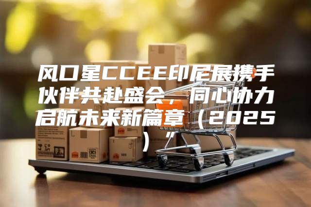 风口星CCEE印尼展携手伙伴共赴盛会，同心协力启航未来新篇章2025”