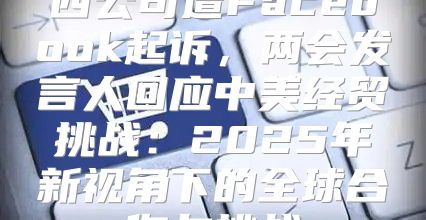 四公司遭Facebook起诉，两会发言人回应中美经贸挑战：2025年新视角下的全球合作与挑战