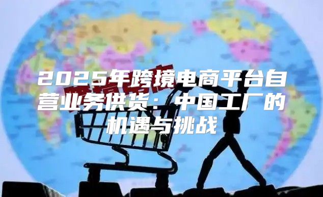 2025年跨境电商平台自营业务供货：中国工厂的机遇与挑战