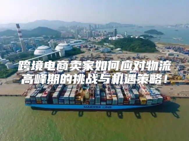 跨境电商卖家如何应对物流高峰期的挑战与机遇策略！