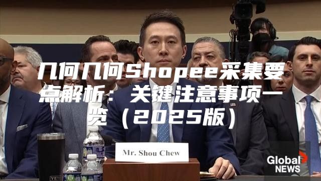 几何几何Shopee采集要点解析：关键注意事项一览2025版