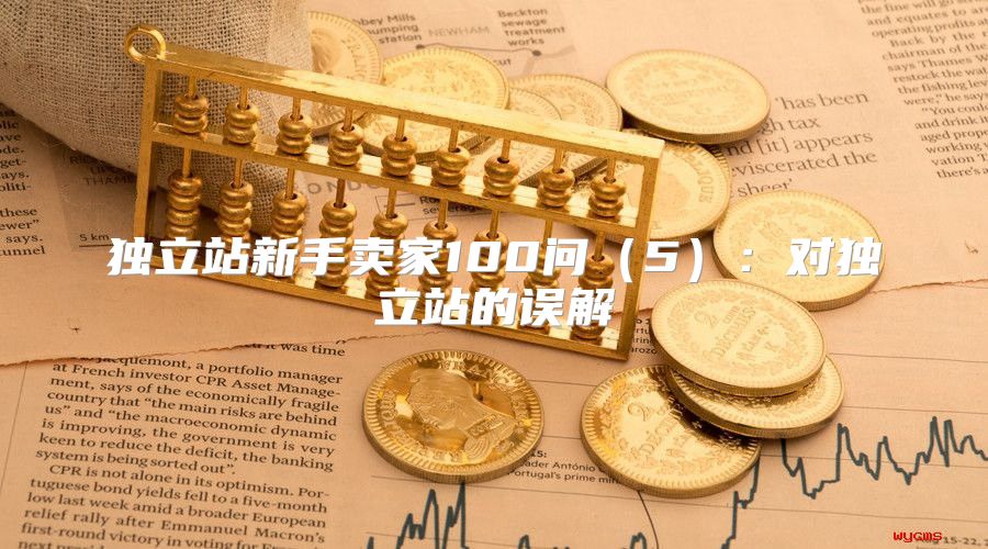 独立站新手卖家100问5：对独立站的误解