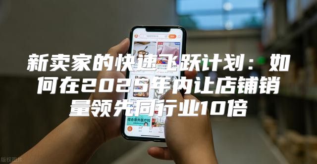 新卖家的快速飞跃计划：如何在2025年内让店铺销量领先同行业10倍