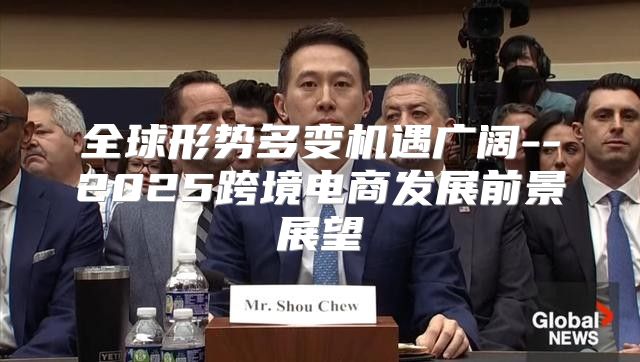 全球形势多变机遇广阔--2025跨境电商发展前景展望
