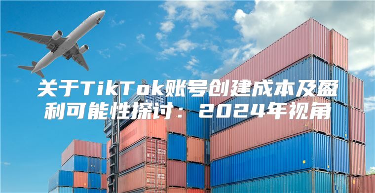 关于TikTok账号创建成本及盈利可能性探讨：2025年视角