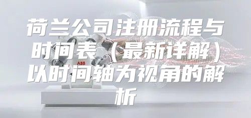 荷兰公司注册流程与时间表最新详解以时间轴为视角的解析