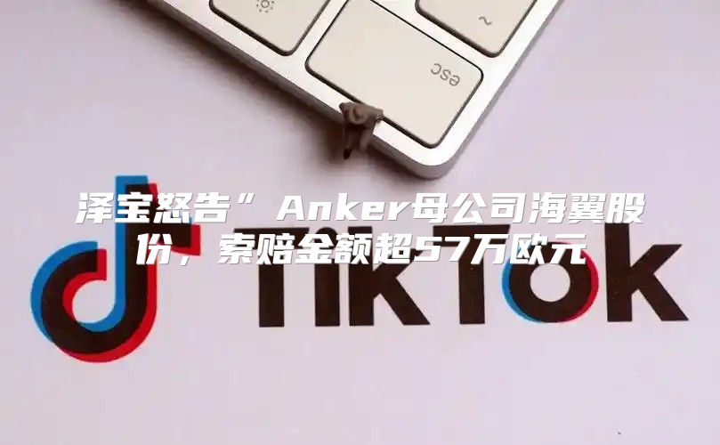 泽宝怒告”Anker母公司海翼股份，索赔金额超57万欧元