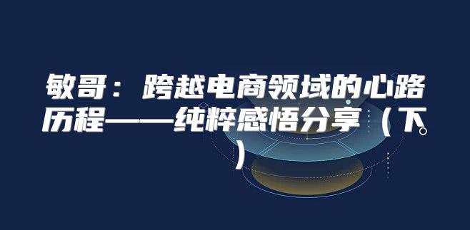 敏哥：跨越电商领域的心路历程——纯粹感悟分享下