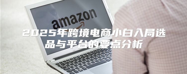 2025年跨境电商小白入局选品与平台的要点分析