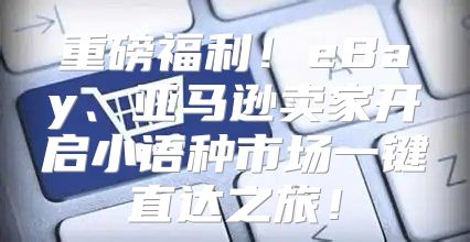 重磅福利！eBay、亚马逊卖家开启小语种市场一键直达之旅！