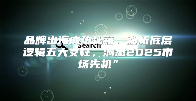 品牌出海成功秘籍：解析底层逻辑五大支柱，洞悉2025市场先机”