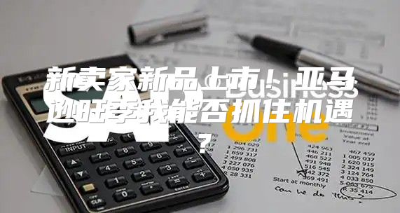 新卖家新品上市！亚马逊旺季我能否抓住机遇？