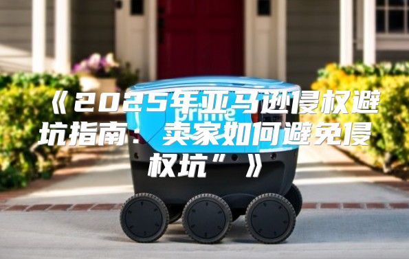 2025年亚马逊侵权避坑指南：卖家如何避免侵权坑”