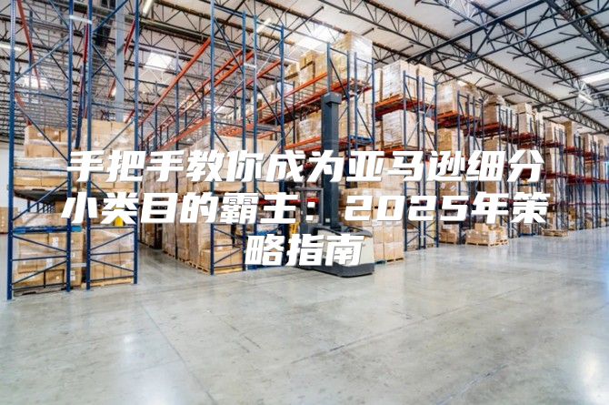 手把手教你成为亚马逊细分小类目的霸主：2025年策略指南