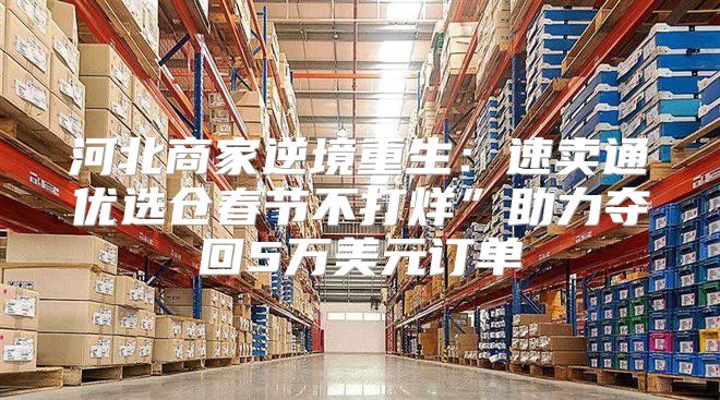 河北商家逆境重生：速卖通优选仓春节不打烊”助力夺回5万美元订单