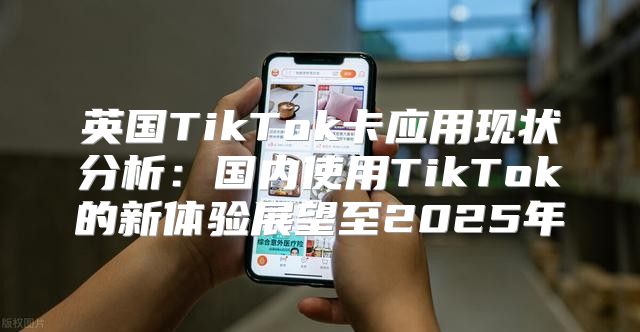 英国TikTok卡应用现状分析：国内使用TikTok的新体验展望至2025年