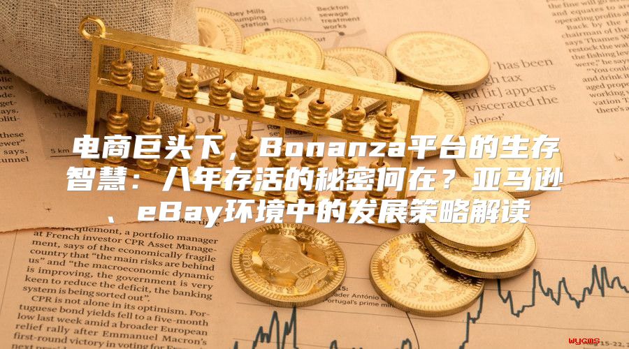 电商巨头下，Bonanza平台的生存智慧：八年存活的秘密何在？亚马逊、eBay环境中的发展策略解读