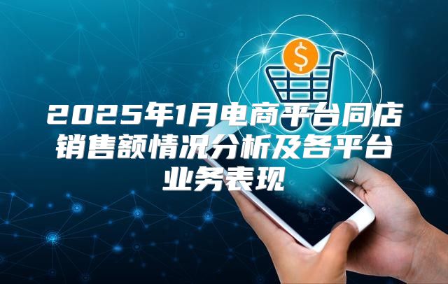 2025年1月电商平台同店销售额情况分析及各平台业务表现