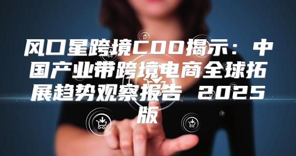 风口星跨境COO揭示：中国产业带跨境电商全球拓展趋势观察报告 2025版