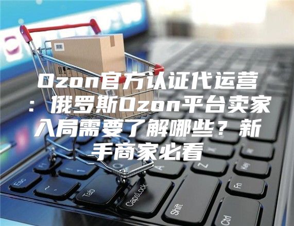Ozon官方认证代运营：俄罗斯Ozon平台卖家入局需要了解哪些？新手商家必看