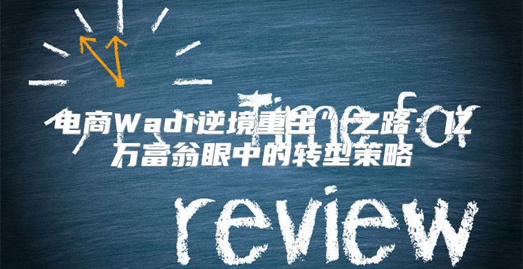 电商Wadi逆境重生”之路：亿万富翁眼中的转型策略