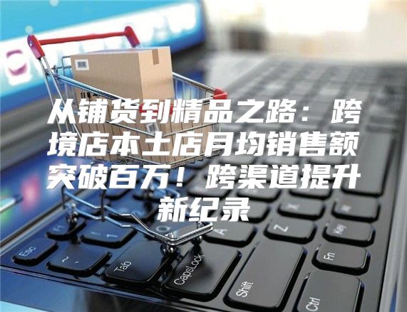 从铺货到精品之路：跨境店本土店月均销售额突破百万！跨渠道提升新纪录