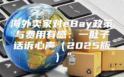 海外卖家对eBay政策与费用有感：一肚子话诉心声2025版”