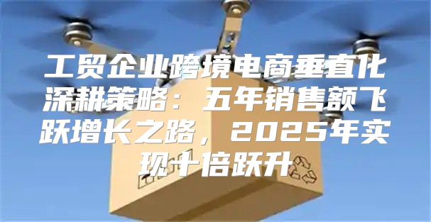 工贸企业跨境电商垂直化深耕策略：五年销售额飞跃增长之路，2025年实现十倍跃升