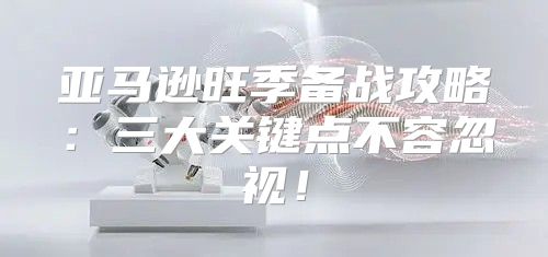 亚马逊旺季备战攻略：三大关键点不容忽视！