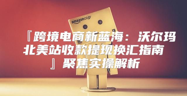 『跨境电商新蓝海：沃尔玛北美站收款提现换汇指南』聚焦实操解析