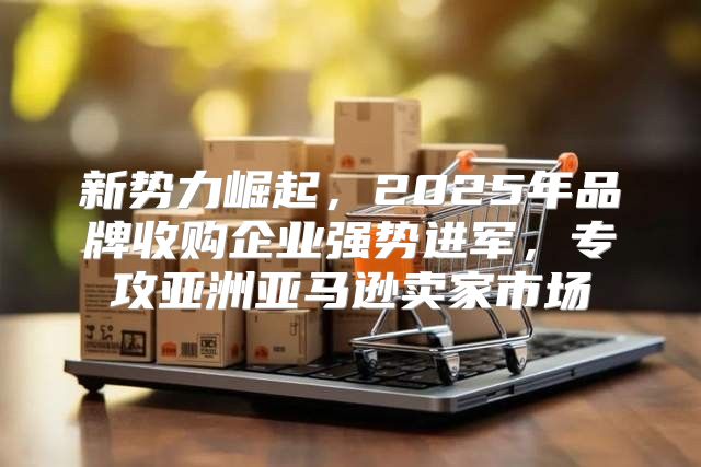 新势力崛起，2025年品牌收购企业强势进军，专攻亚洲亚马逊卖家市场