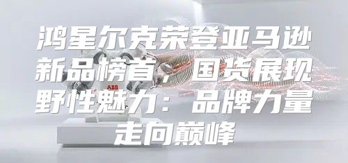 鸿星尔克荣登亚马逊新品榜首，国货展现野性魅力：品牌力量走向巅峰
