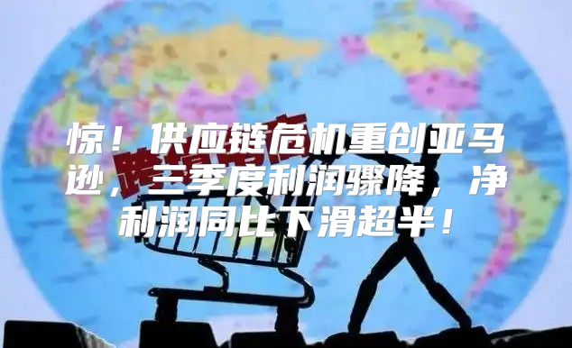 惊！供应链危机重创亚马逊，三季度利润骤降，净利润同比下滑超半！