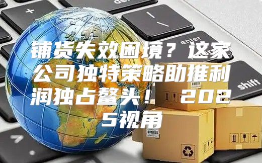 铺货失效困境？这家公司独特策略助推利润独占鳌头！ 2025视角