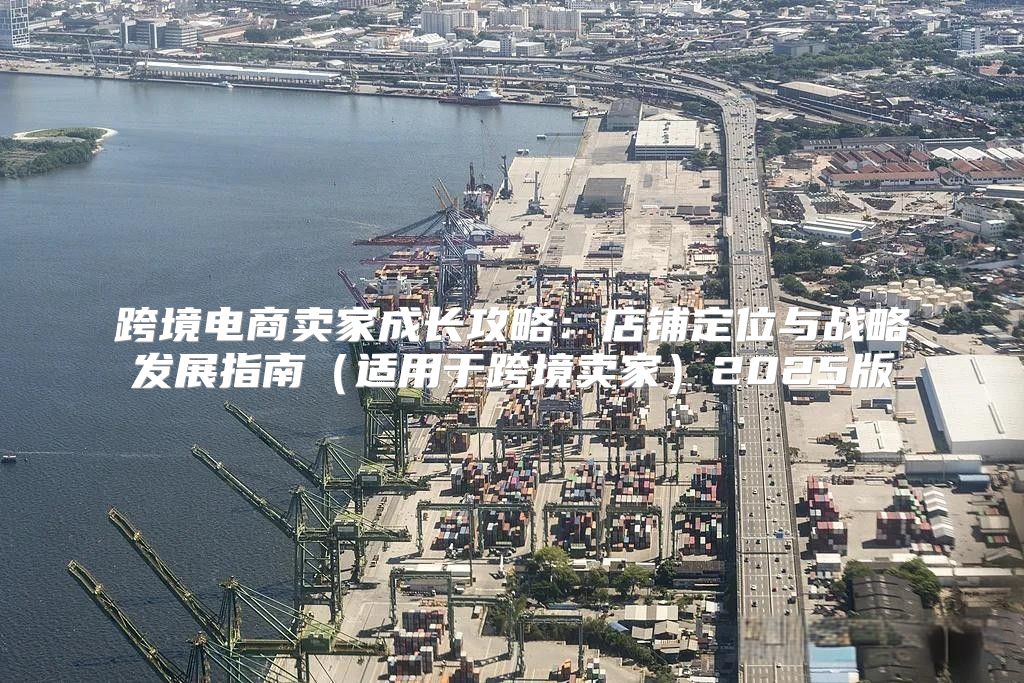 跨境电商卖家成长攻略：店铺定位与战略发展指南适用于跨境卖家2025版