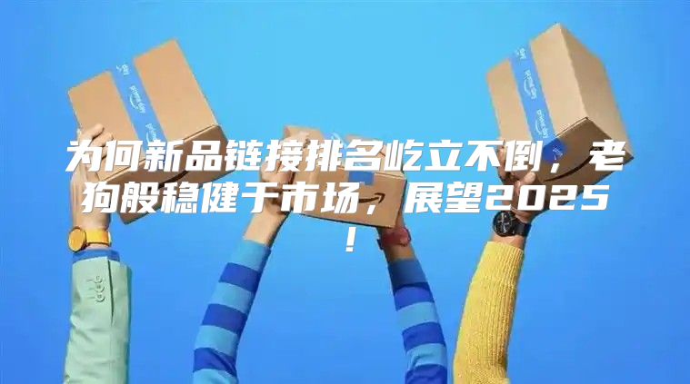 为何新品链接排名屹立不倒，老狗般稳健于市场，展望2025！