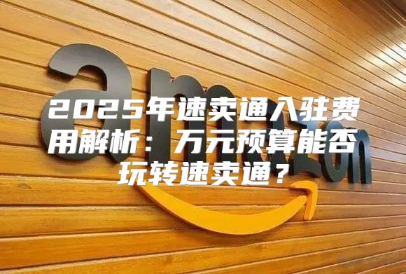 2025年速卖通入驻费用解析：万元预算能否玩转速卖通？